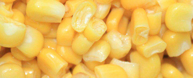 Enterprises sell quick-frozen sweet corn to the United States and other countries