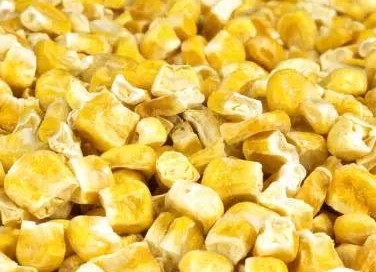freeze-dried sweet corn